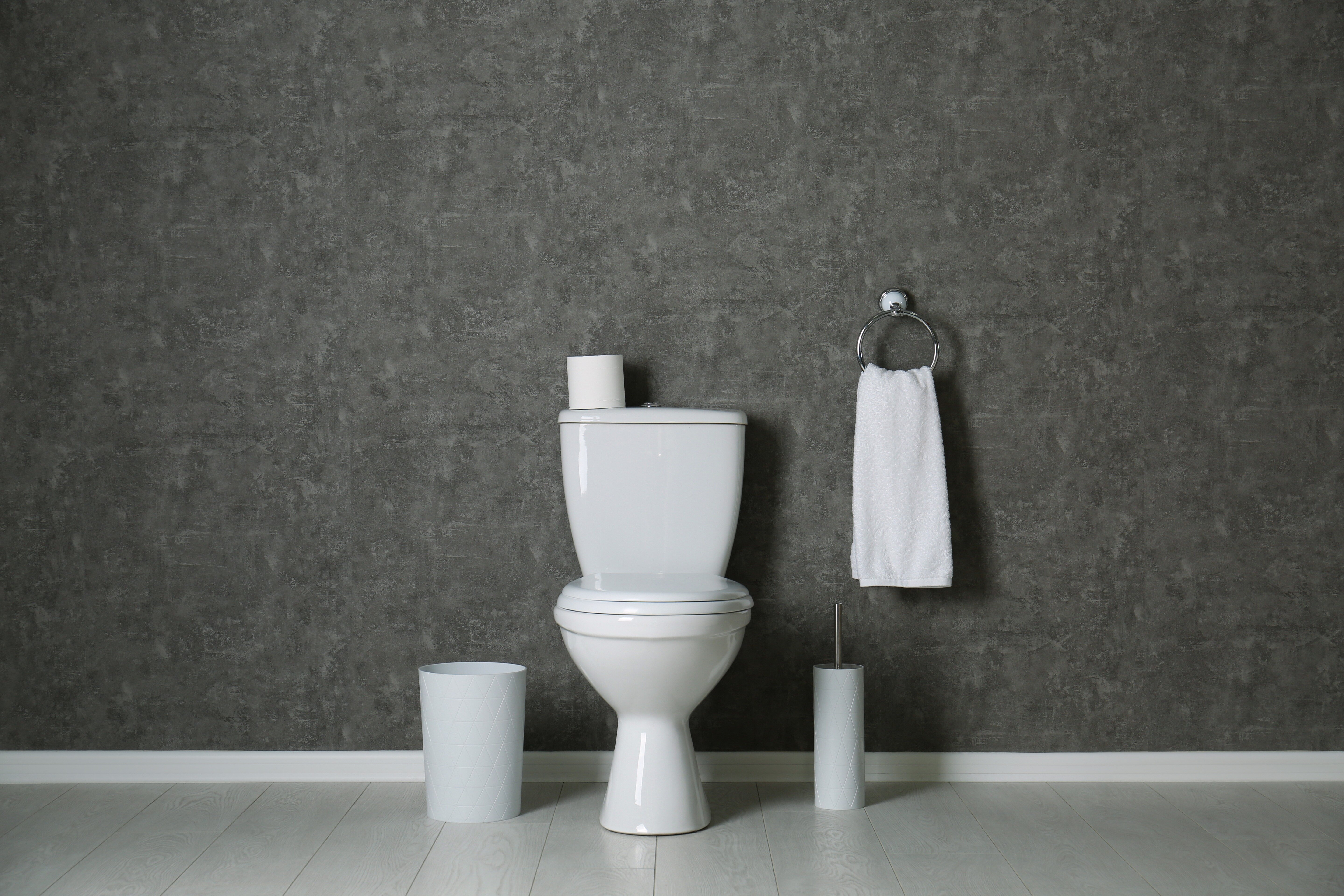 How To Guide - Flushing a Toilet Manually