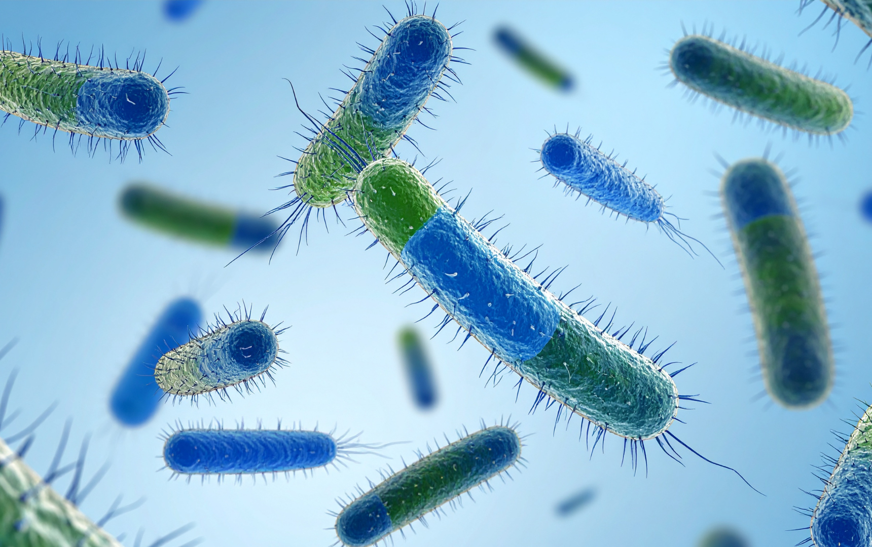 Practical precautions for Legionnaires'