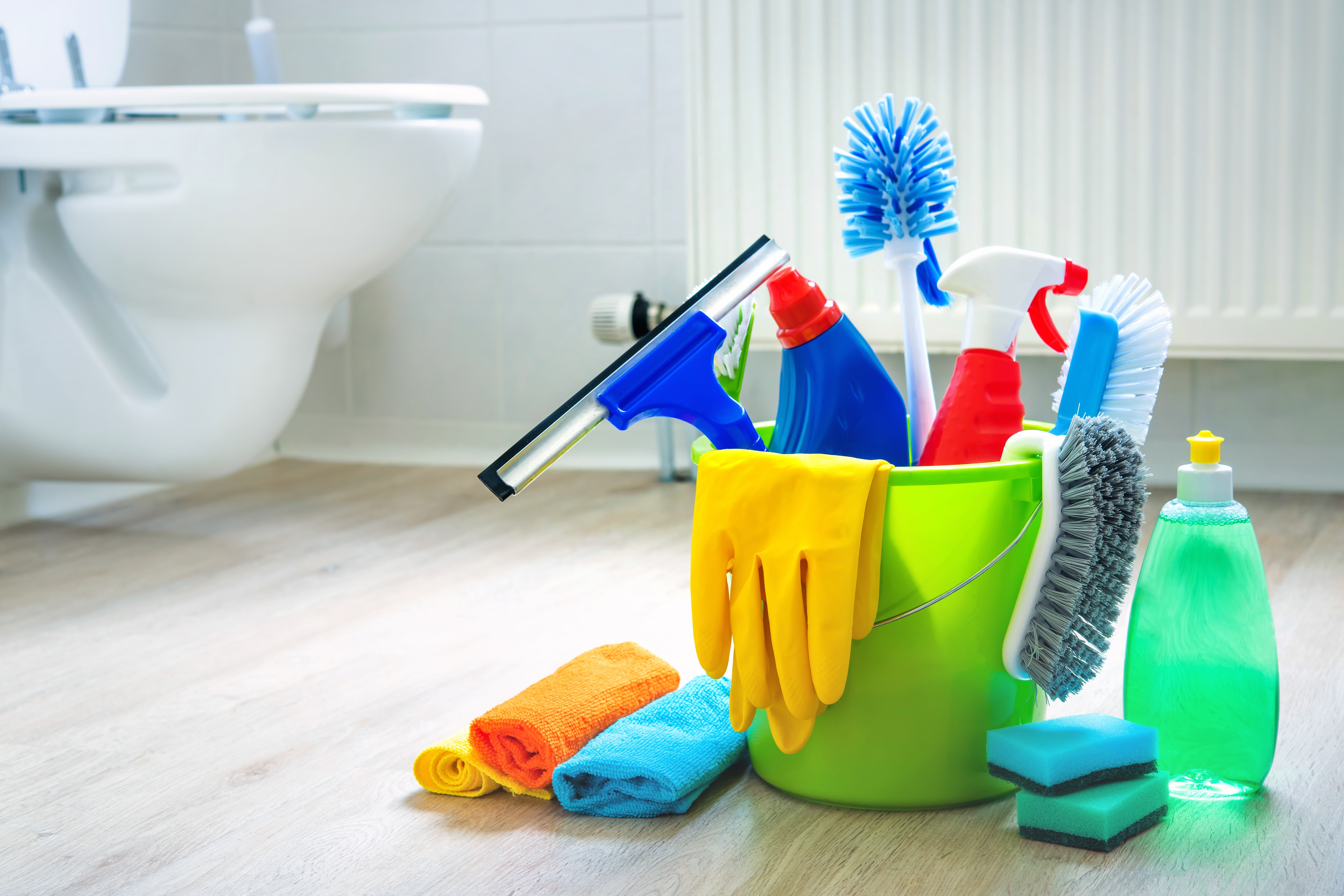 Saniflo toilet care and advice